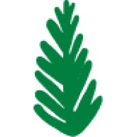 Cedar Logo