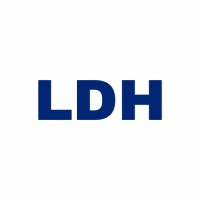 LDH IT Consulting Services Logo