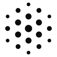 Matthias Isler - Digital Strategy & Technology Consulting Logo