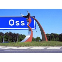 Netwerk Oss en omgeving Logo