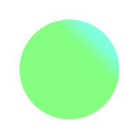 Nirvana Privacy Logo