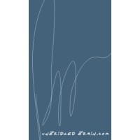 Unbridled Brain Logo