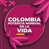 Departamento Nacional de Planeación Logo