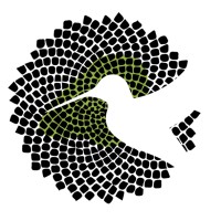 Colibrí Collaborative Logo
