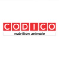 CODICO Logo