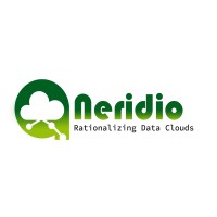 Neridio Systems Ltd. Logo