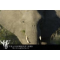 Transfrontiers Wildlife Walking Safaris Logo