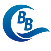 Bombas Braun S.A Logo