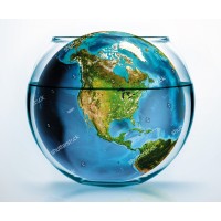 Color of Carbon Consulting Logo