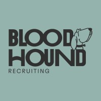 Bloodhound Recruiting Logo