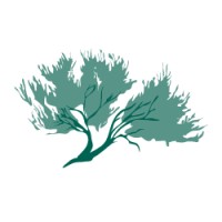 Sage Forensic Accounting, Inc. Logo