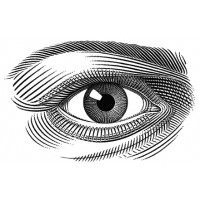 Kevin Sprouls Illustration Logo