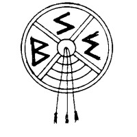 B.S. ENVIRONMENTAL, INC. Logo