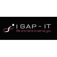 IGAP-IT Consultants Logo