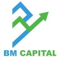 BM Capital INC Logo