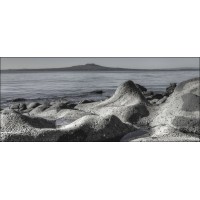 Gans Consulting Logo