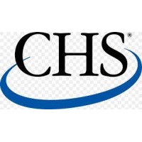 CHS MEDICAL LTD Logo