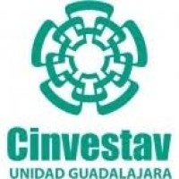 Centro de Investigación y de Estudios Avanzados, Unidad Guadalajara Logo