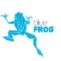 Blue Frog Media Logo