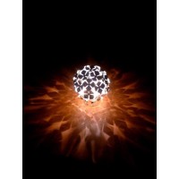 Wild West Lighting ~ Manufacturers Representative in Arizona Logo