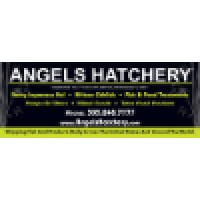 Angels Hatchery Logo