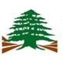 Council for Development and Reconstruction Logo