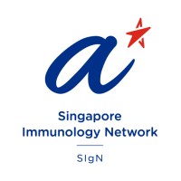Singapore Immunology Network Logo