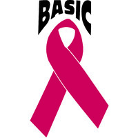 BASIC NWFL, Inc. Logo