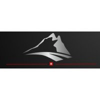 Florian Schmitt - Digital Transformation Research Project Logo