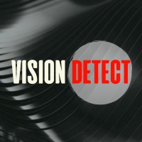 VISION DETECT Logo