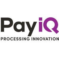 PayiQ, a Division of Quisitive Logo