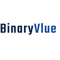 BinaryVlue Logo