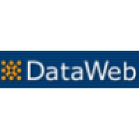Dataweb Logo