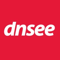 Dnsee Logo