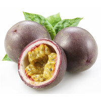 Passyflore Création - Delphine Dattée Logo