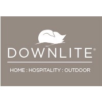 DOWNLITE Logo