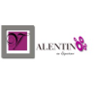 Valentino Image Studio Logo