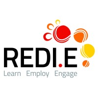 Regional Enterprise Development Institute Ltd (REDI.E) Logo