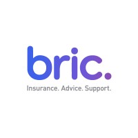 BRIC Logo