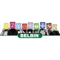 Belbin Sverige AB Logo