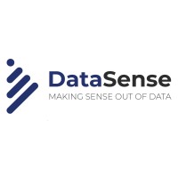 DataSense Consulting GmbH Logo