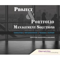 Diametriks Consulting Pvt Ltd Logo