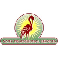 Aztec Professional Services Logo