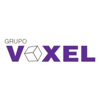 Group VOXEL: Design 3D Multimedia Audiovisuals Logo