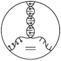 Aayuntra Logo