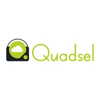 Quadsel Systems Pvt Ltd Logo
