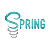 Spring Strategies Logo