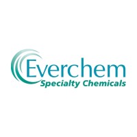 Everchem Specialty Chemicals Logo