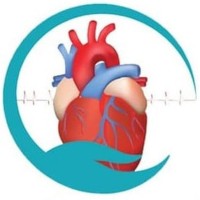 Addis Cardiac Hospital Plc Logo