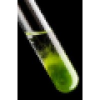 MRIGlobalScientific Logo